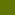 Zielona oliwka